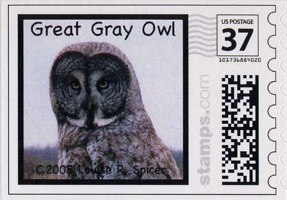 American Crafts Uchi Designs Owls Stamps - Set Of 8 Clear Stamps For Scrapbooking & Crafts - View #7